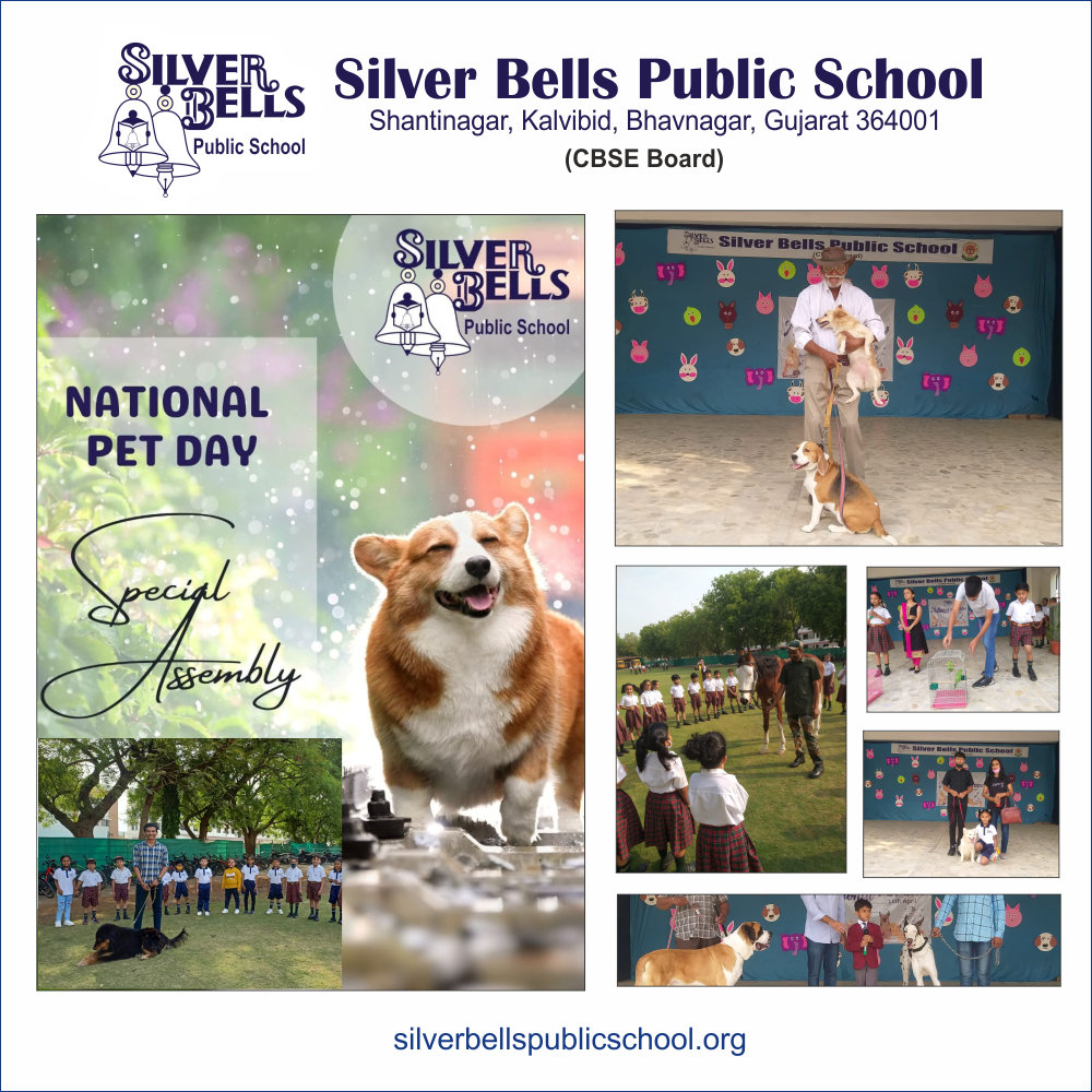 National PET Day Celebration silver bells public school cbse board kalvibid bhavnagar gujarat